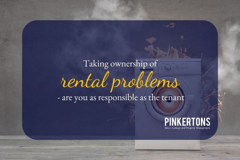 Taking ownership of rental problems - are you as responsible as the tenant?